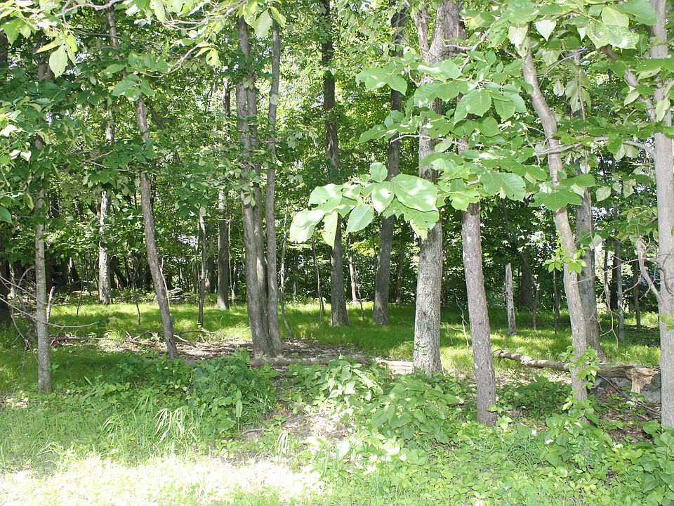 L1.JPG