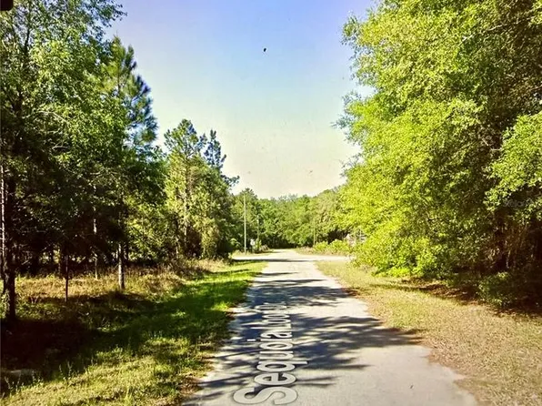 39 SE Sequoia Loop Dr Lot 39, Ocklawaha, FL 32179