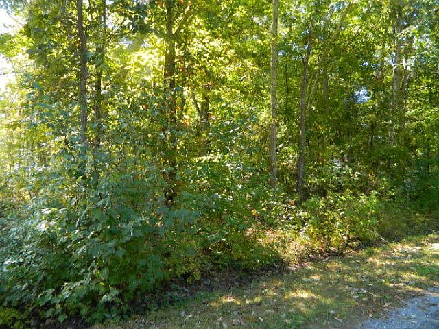 1st image of Lot 76 Tatem Street LOT 76