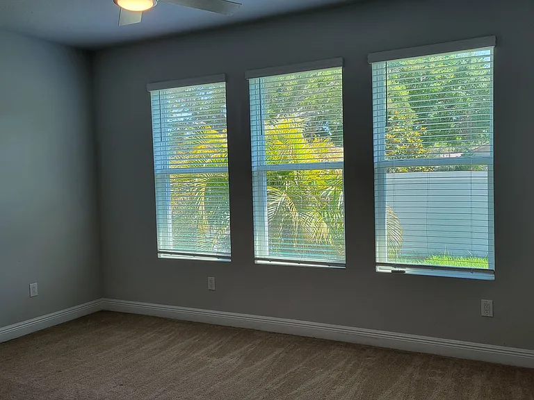 5534 Spanish Moss Cv — Photo 14