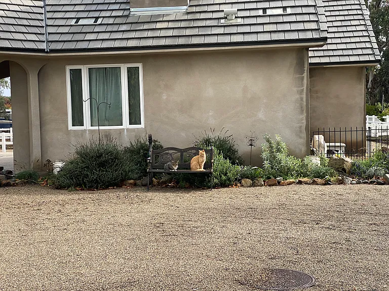 34900 Calle Grande — Photo 8