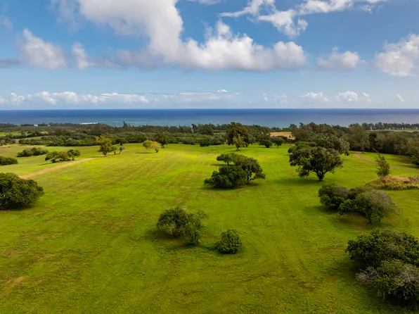 53-4223 Pratt Rd #4, Kapaau, HI 96755