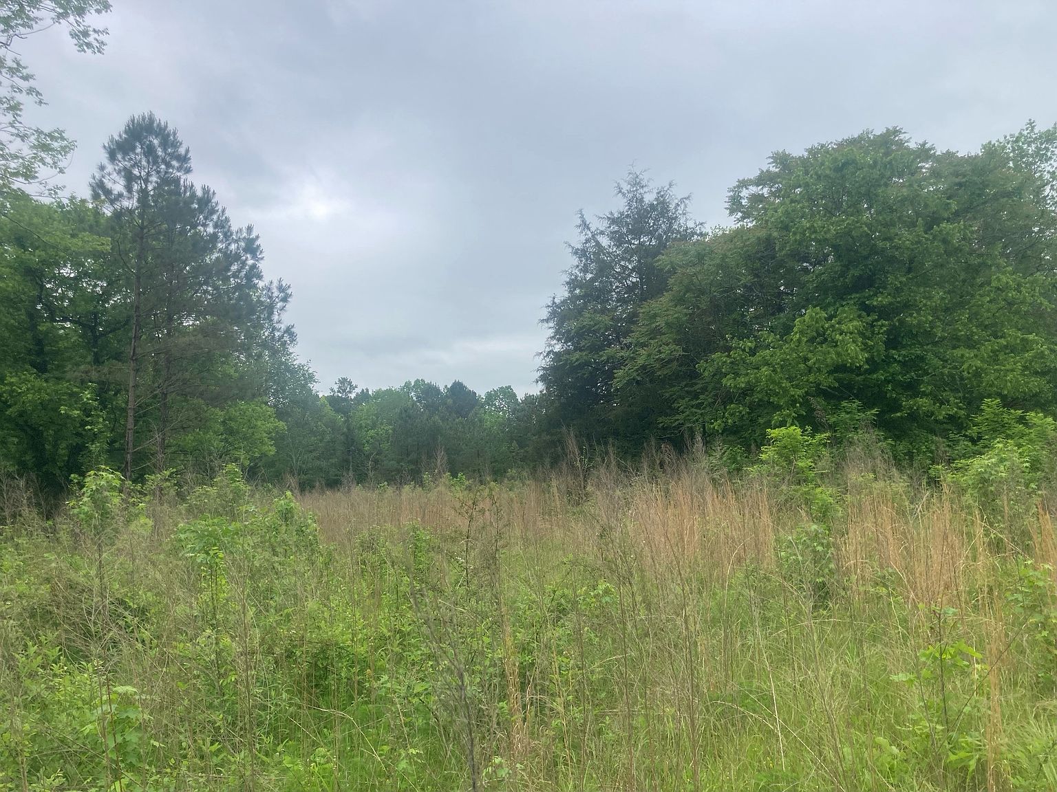 581 Goresville Rd, Prospect, TN 38477 Zillow