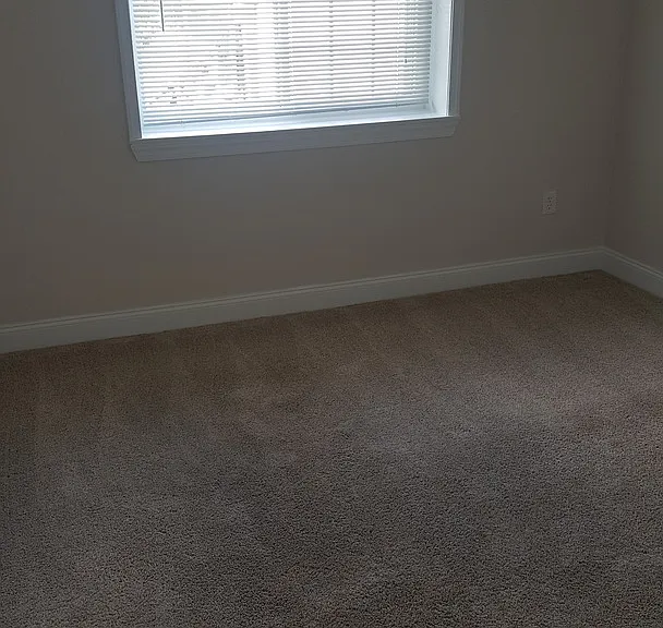 255 Gay St — Photo 3