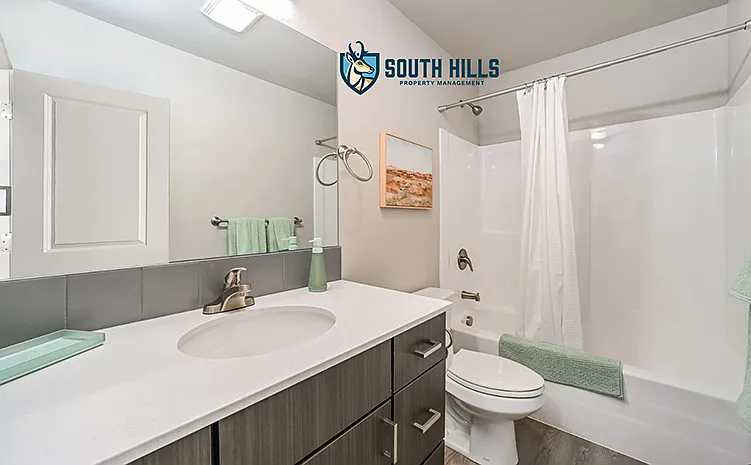Summit Springs Townhomes — Photo 19