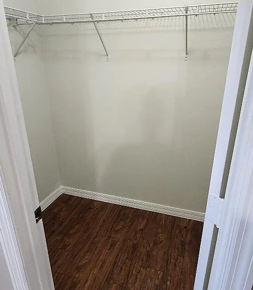 Master Closet 1