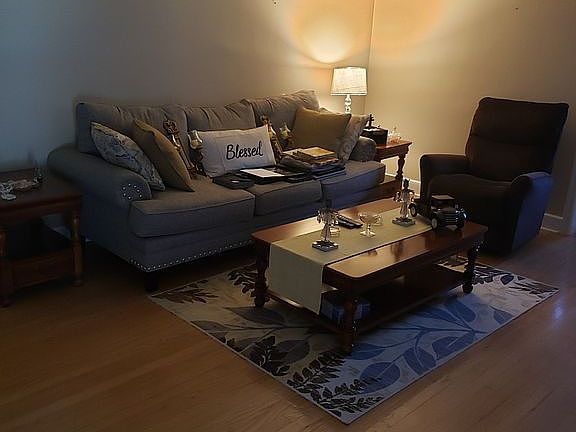 Living Room - photo #3