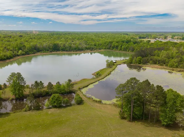 258 Ponderosa Rd, Greenville, AL 36037
