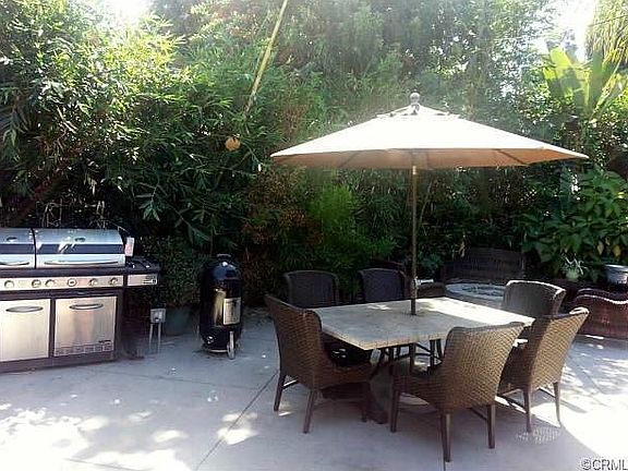 Bamboo and Birds of Paradise