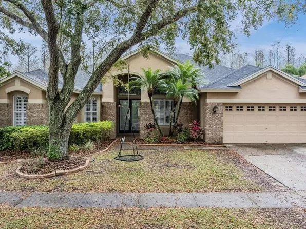 19223 Wind Dancer St, Lutz, FL 33558