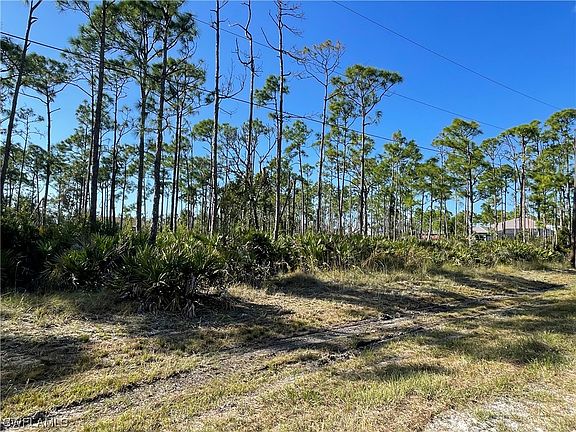4th image of 15101 Martinique Way