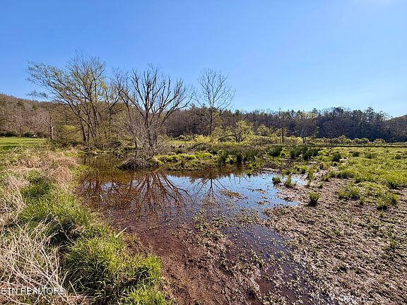 54th image of 5640 Brimstone Rd