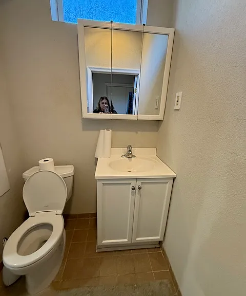 Basement Bathroom1