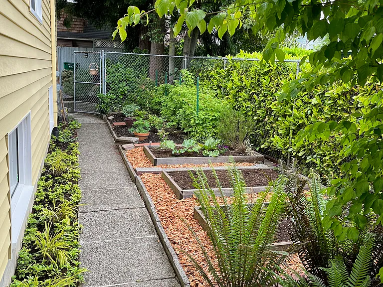 Raised beds in east side yard