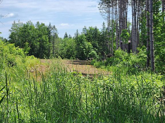 5th image of 0 N Olson Rd