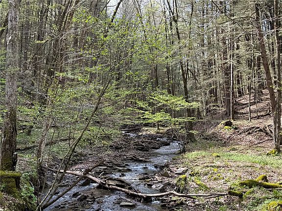 2nd image of 5373 Pigtail Rd