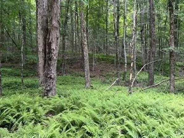 Upper Punchbowl Road, Roscoe, NY 12776