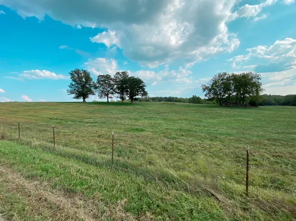 000 W Farm Rd 28, Ash Grove, MO 65604