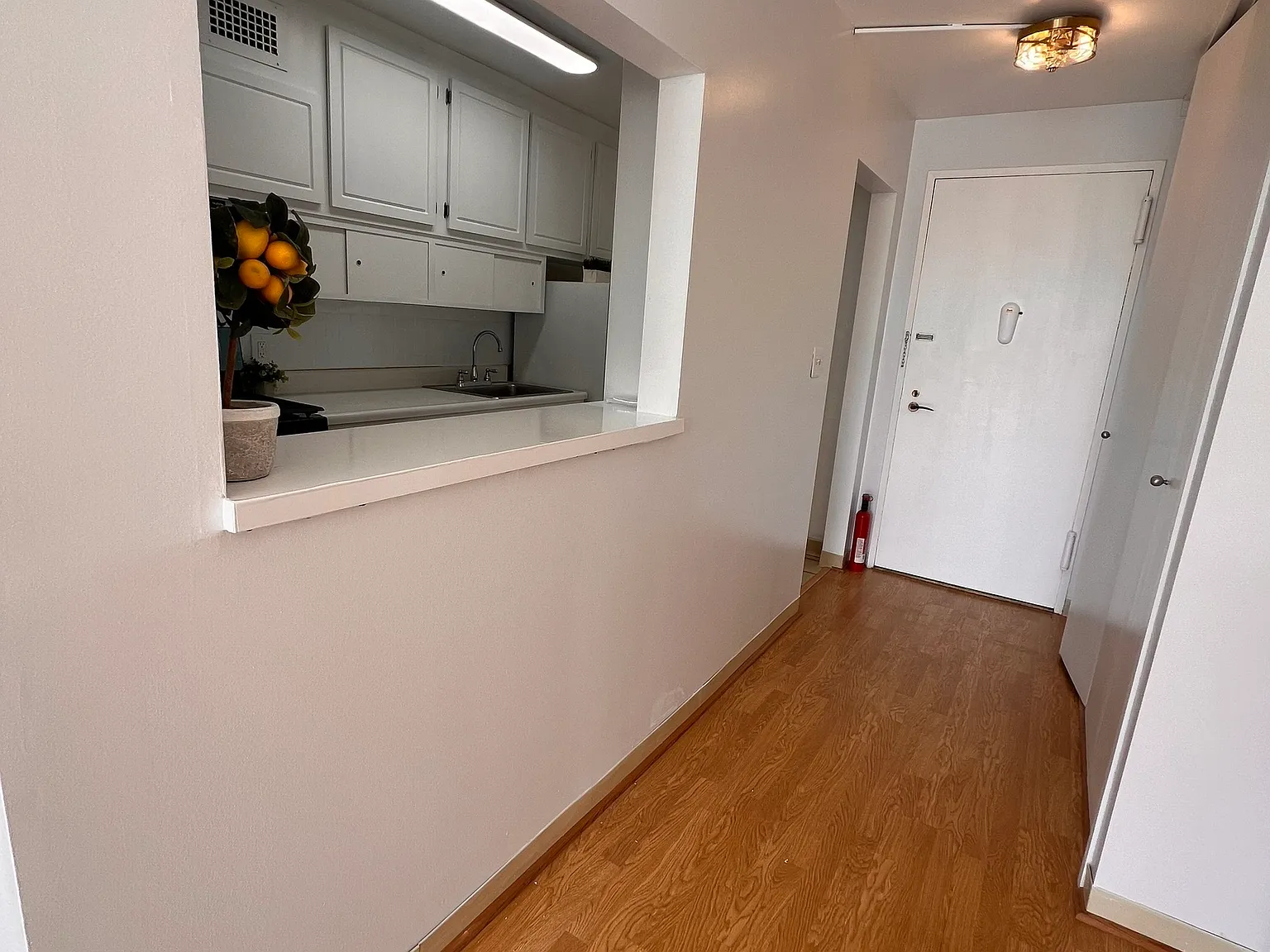 1 bed, 1.0 bath, 677 sqft, $2,100 — Photo 4