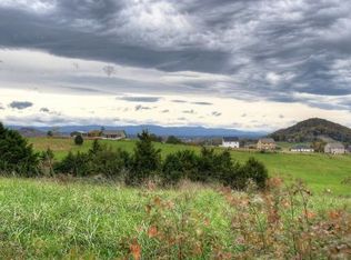 238 Holland View Dr, Jonesborough, TN 37659
