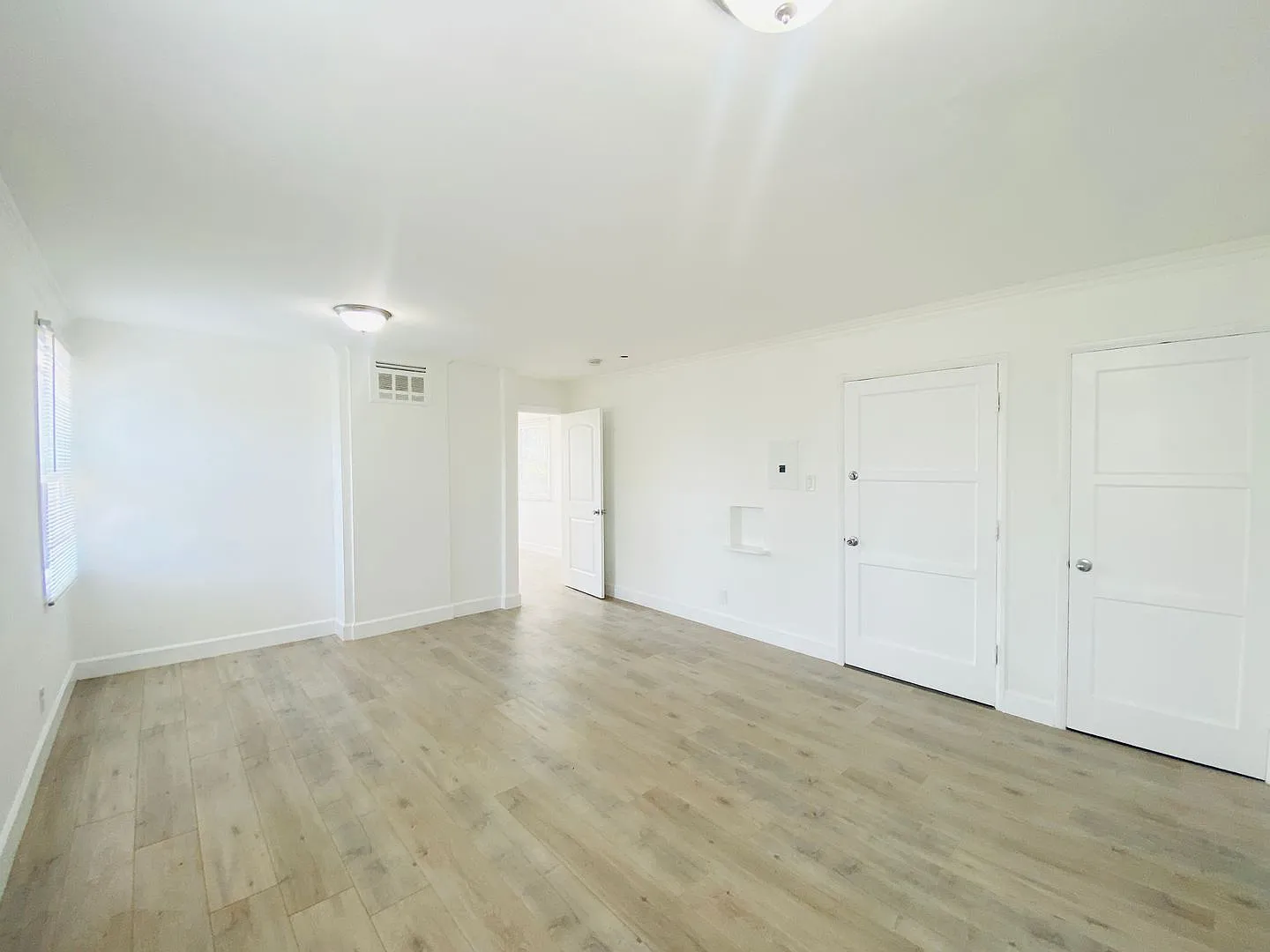 1645VIS — Photo 3