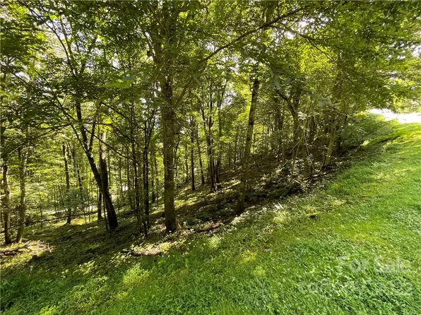 82 Goldenleaf Rd #82, Mars Hill, NC 28754