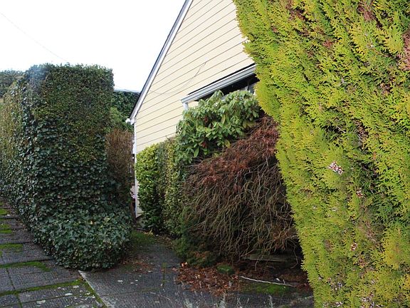 side of home (front door and back yard access)