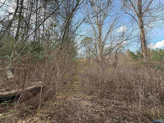 3rd image of 2113 Buster Willett Rd