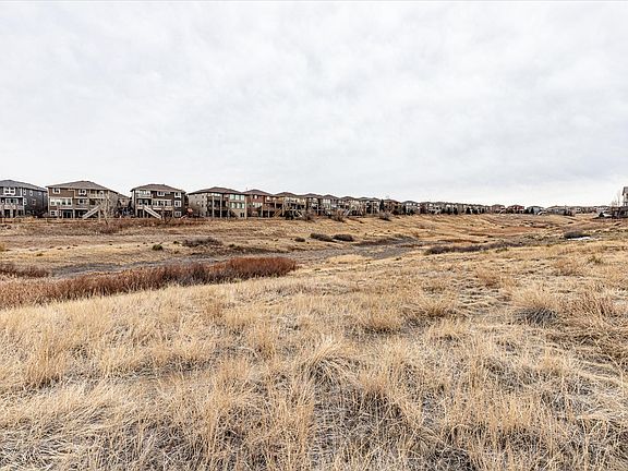 Open Space behind the home