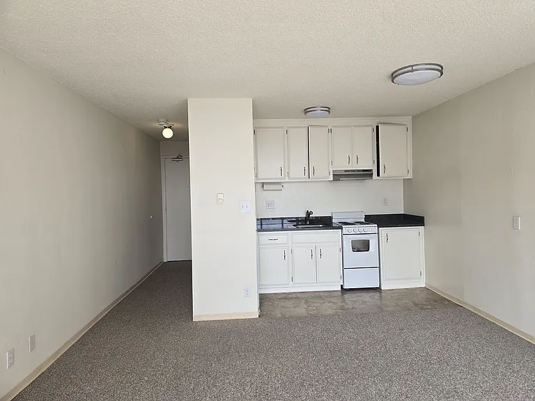1257 Bush Street — Photo 3