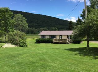 350 River Rd, Deposit, NY 13754