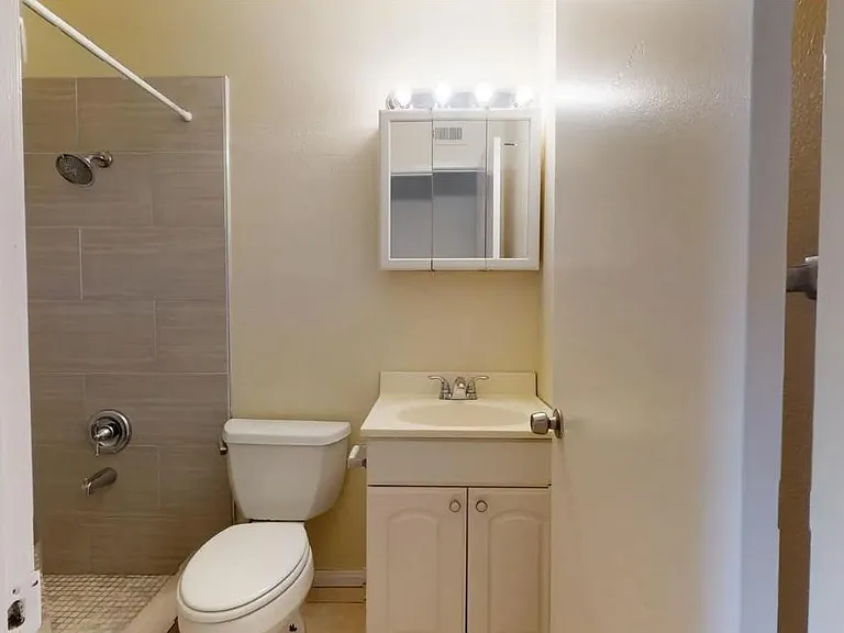 Bathroom 2 (downstairs)