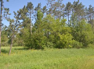 Kapitz Ave, Rib Lake, WI 54470