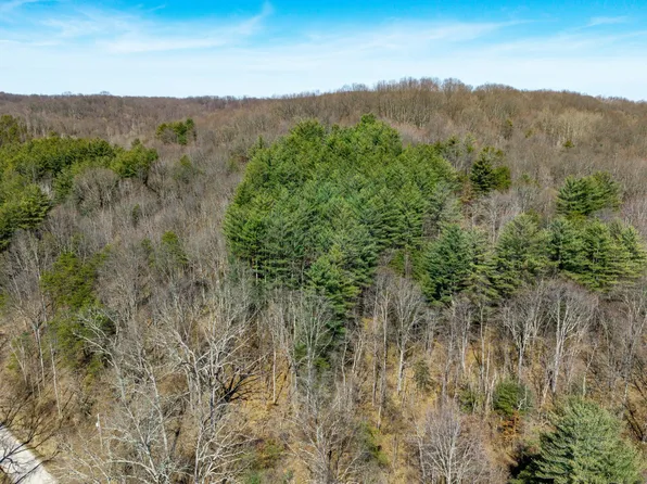 26145 Creola Hue Rd, Creola, OH 45622