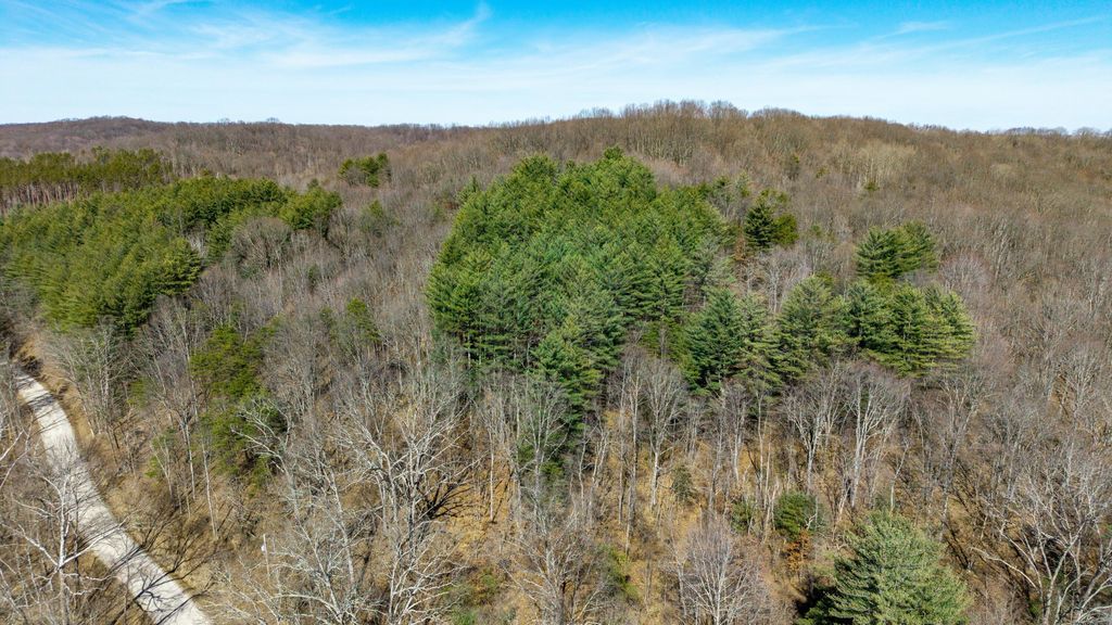 Real estate listing image
