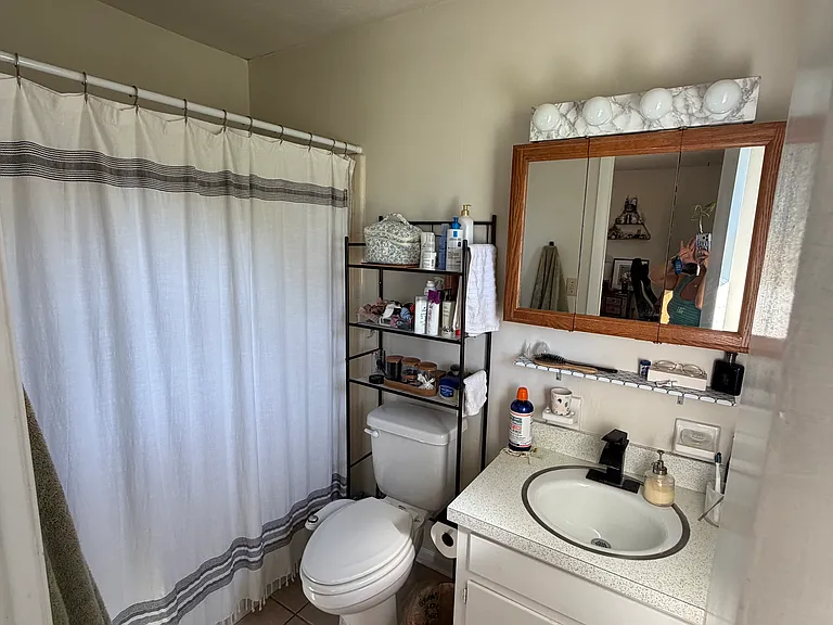 5532 Mossy Top Way — Photo 12