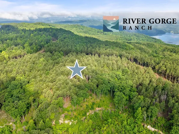 2142 Top Shelf St, Guild, TN 37340