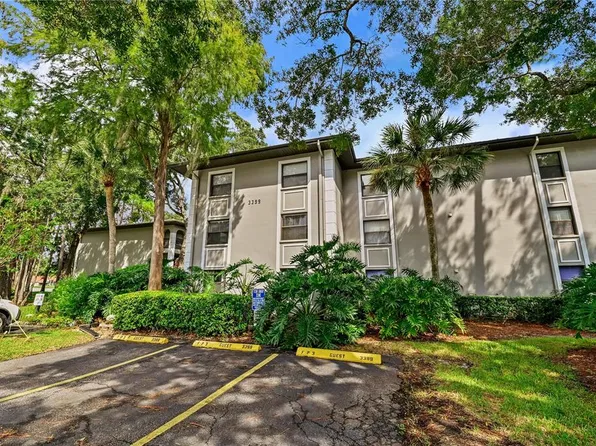 3399 MERMOOR DRIVE #210, PALM HARBOR, FL 34685