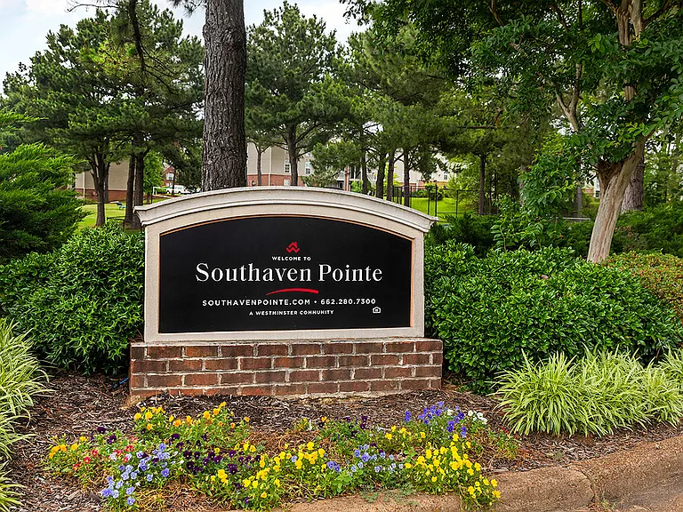 Southaven Pointe Apartments — Photo 22