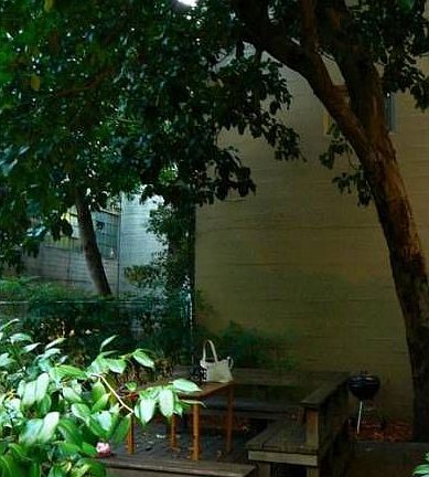garden
