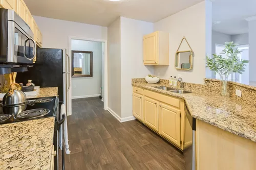 Kitchen (cabinets & appliances vary) - Palio Apartments