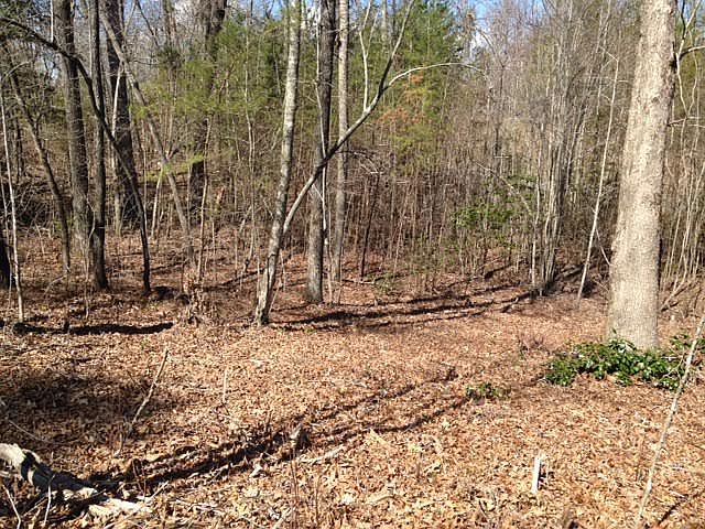 1st image of N Laceola Dr Lot 5P