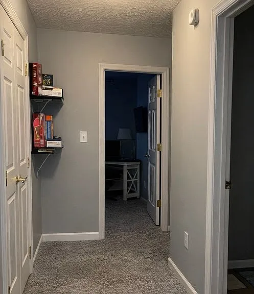 1228 Blue Ridge View Cir #MAIN — Photo 13