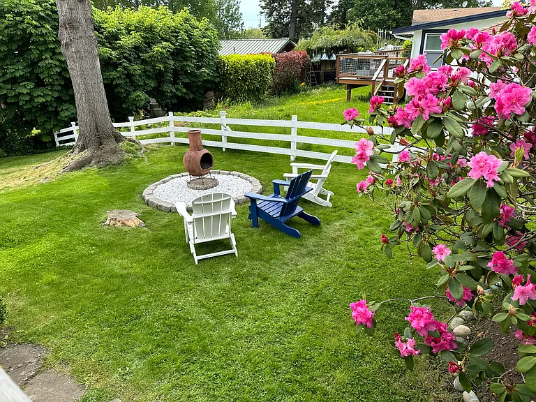 Our lovely yard