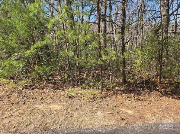 LOT 39 Flynn Ct, Lake Lure, NC 28746
