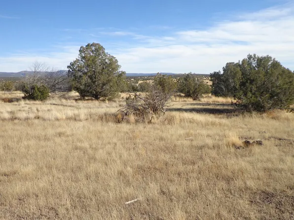00 N Trackside Trail Lane #211, Ash Fork, AZ 86320