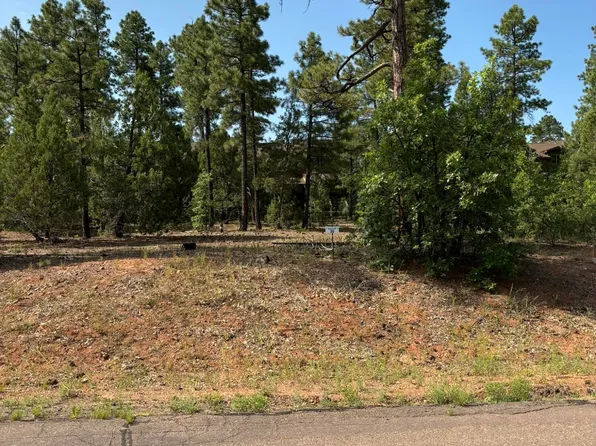 6931 Leo Ln, Lakeside, AZ 85929