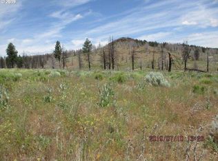 Ruffed Grouse, Sprague river, OR 97639