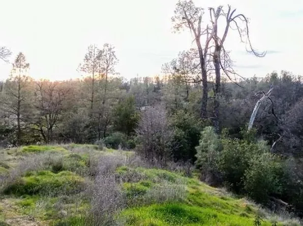 18675 Wilderness Dr, Cottonwood, CA 96022