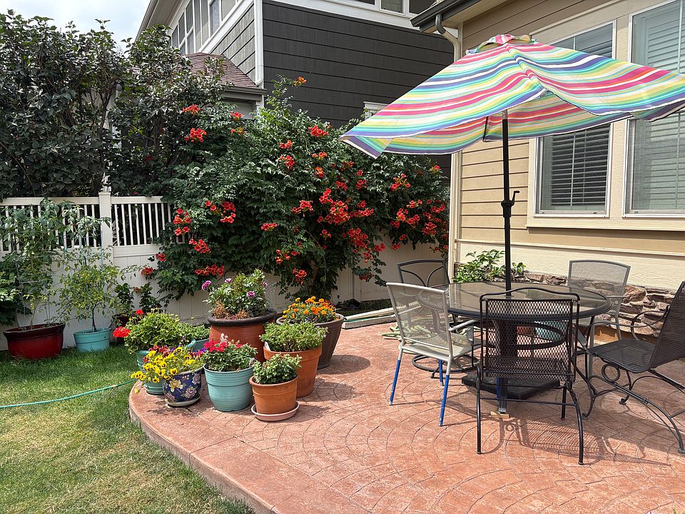 Backyard patio